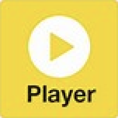 potplayer Windows 开源播放器